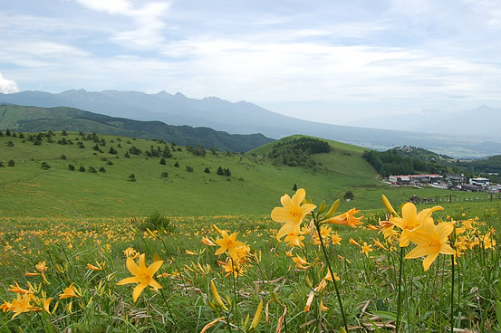 車山高原風景夏